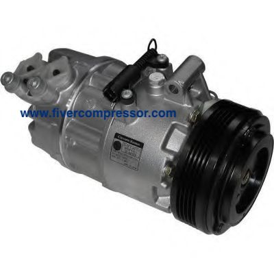 A/C Compressor manufacturer China of 64526918750/64528386837 for BMW 3Series E46