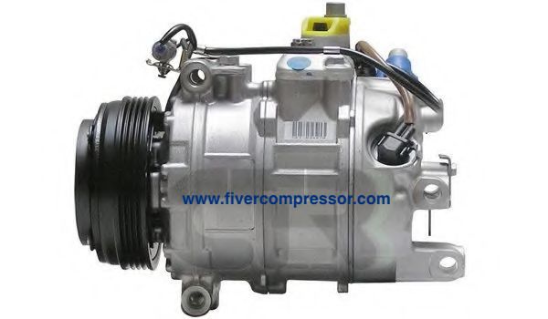 Automotive A/C Compressor Manufacturer of 64509154072/64529195978 for BMW